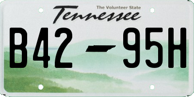 TN license plate B4295H