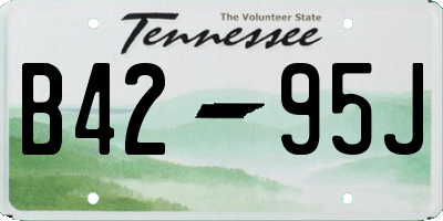 TN license plate B4295J