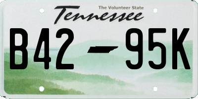 TN license plate B4295K