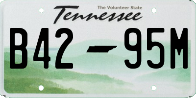 TN license plate B4295M