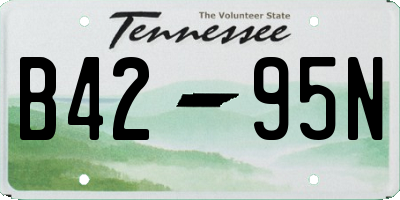 TN license plate B4295N