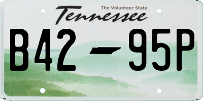 TN license plate B4295P