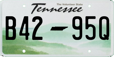 TN license plate B4295Q
