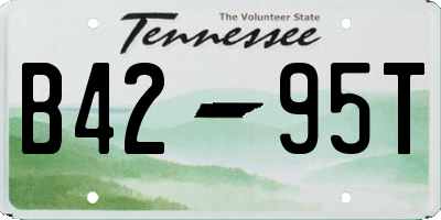 TN license plate B4295T