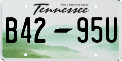 TN license plate B4295U