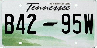 TN license plate B4295W