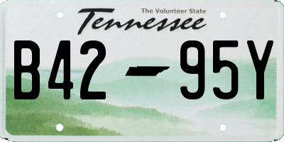 TN license plate B4295Y