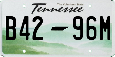 TN license plate B4296M