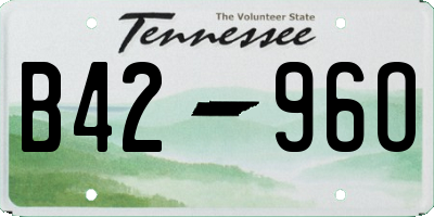 TN license plate B4296O
