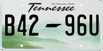 TN license plate B4296U