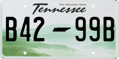 TN license plate B4299B