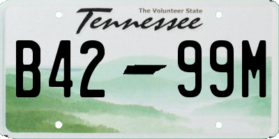 TN license plate B4299M
