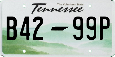 TN license plate B4299P