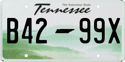 TN license plate B4299X