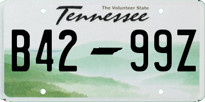 TN license plate B4299Z