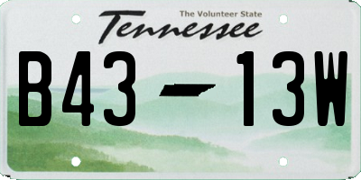 TN license plate B4313W