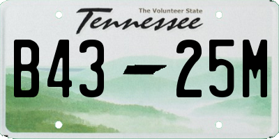 TN license plate B4325M