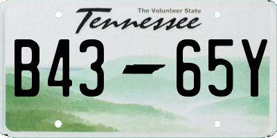 TN license plate B4365Y