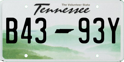 TN license plate B4393Y