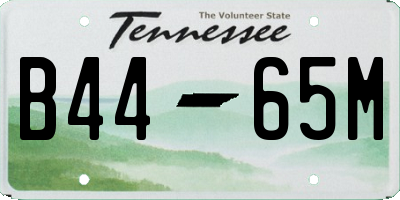 TN license plate B4465M