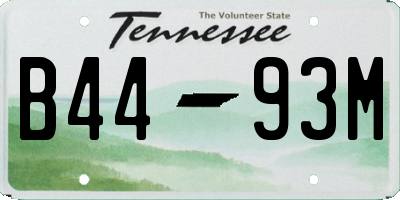 TN license plate B4493M