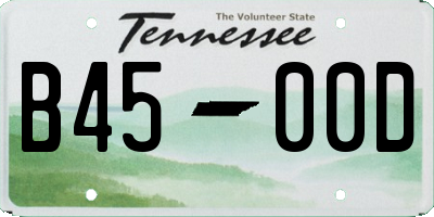 TN license plate B4500D