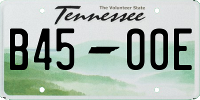 TN license plate B4500E