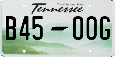 TN license plate B4500G