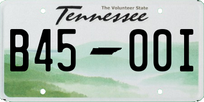 TN license plate B4500I
