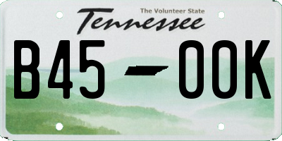 TN license plate B4500K