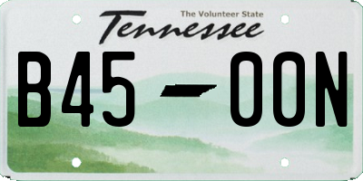 TN license plate B4500N