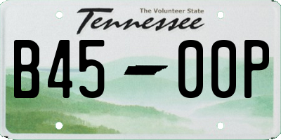 TN license plate B4500P