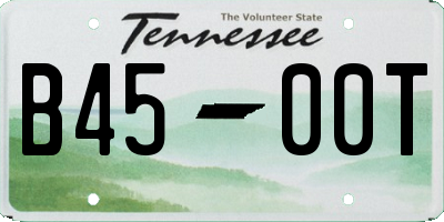 TN license plate B4500T
