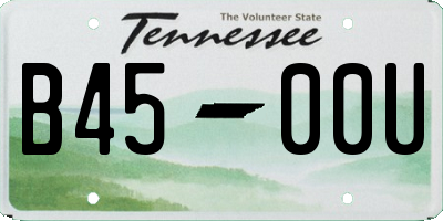 TN license plate B4500U
