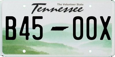 TN license plate B4500X