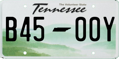 TN license plate B4500Y