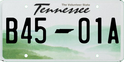 TN license plate B4501A