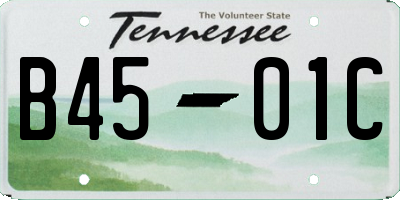 TN license plate B4501C