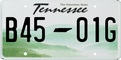 TN license plate B4501G