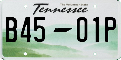 TN license plate B4501P