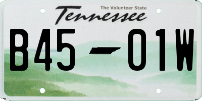TN license plate B4501W