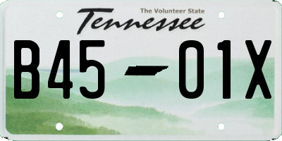 TN license plate B4501X