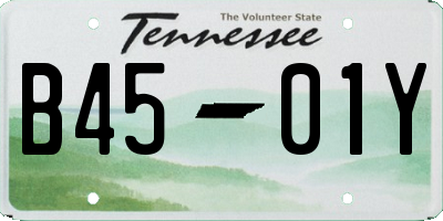 TN license plate B4501Y