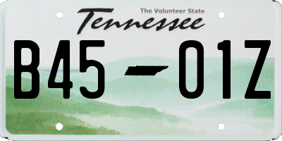 TN license plate B4501Z