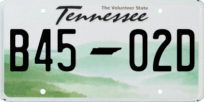 TN license plate B4502D