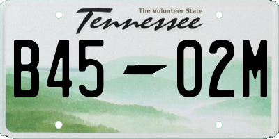 TN license plate B4502M