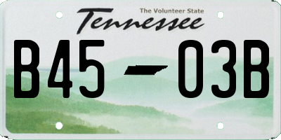 TN license plate B4503B