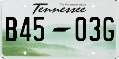 TN license plate B4503G