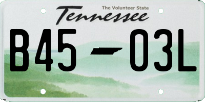 TN license plate B4503L