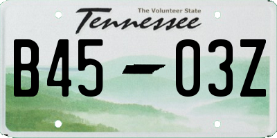 TN license plate B4503Z